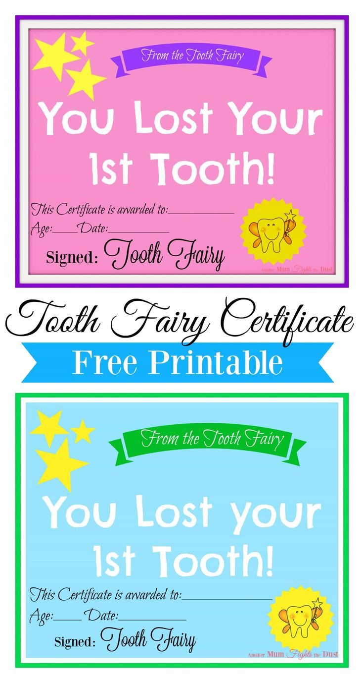 tooth fairy 2 6 1 free